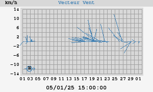 Wind Vector