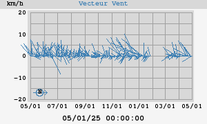 Wind Vector